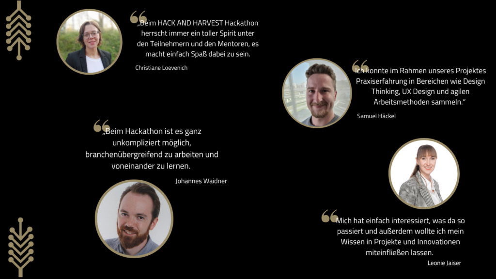 Stimmen Hack and harvest